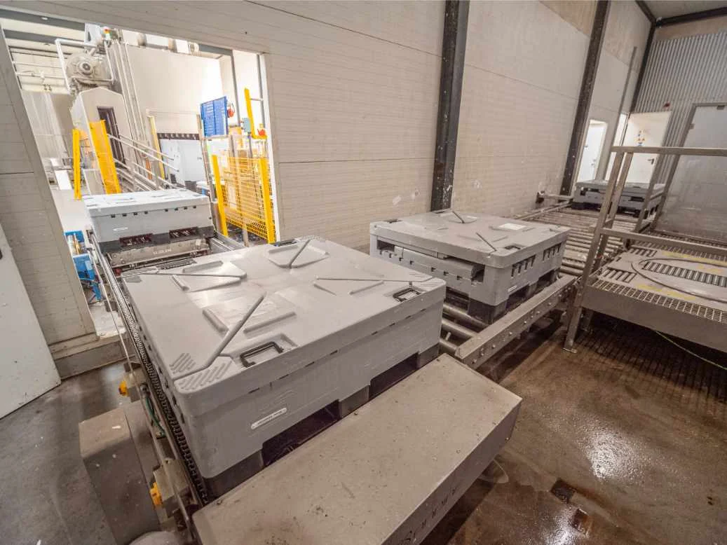 CHEP Pallecon Solutions 12